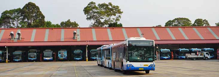 Sydney Buses Volvo B12BLE Custom CB60 1516